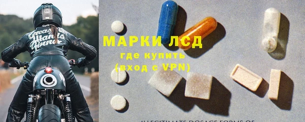 дживик Лагань