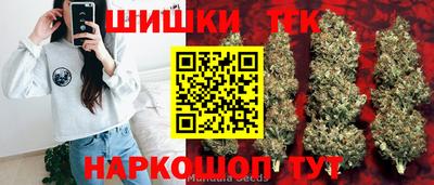 винт Будённовск