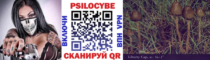 Галлюциногенные грибы GOLDEN TEACHER  Тара 