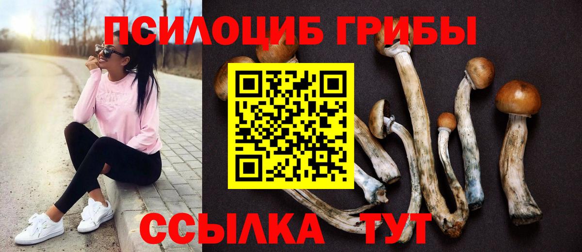Тара  Галлюциногенные грибы ЛСД  Вход с VPN 