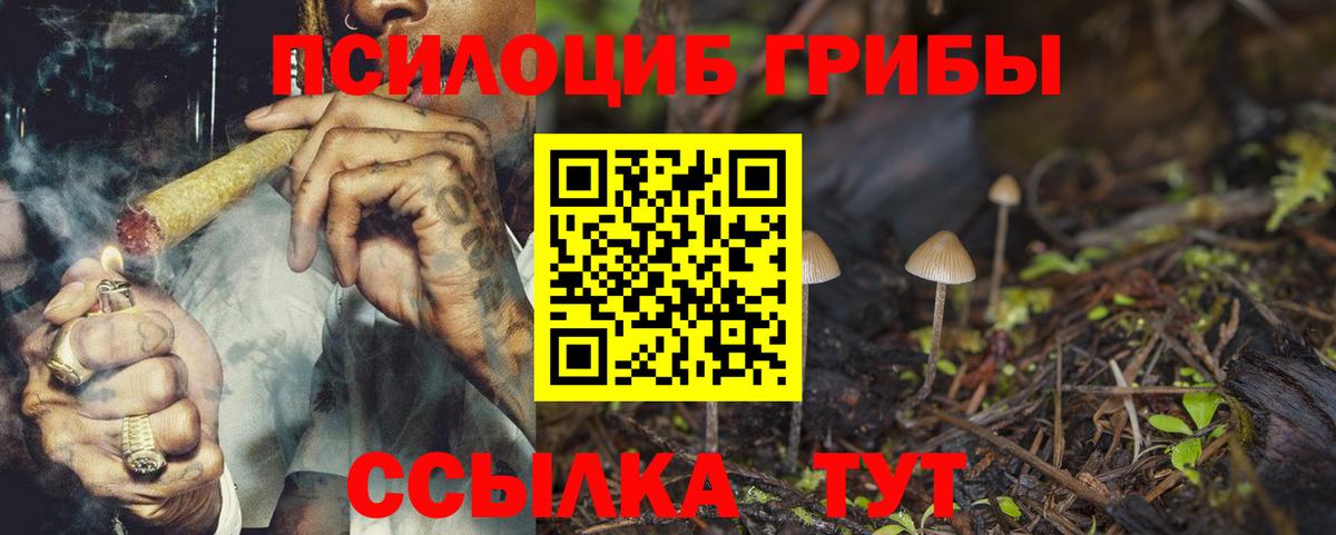 Галлюциногенные грибы GOLDEN TEACHER Тара