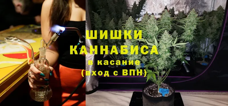 Канабис Ganja  Тара 